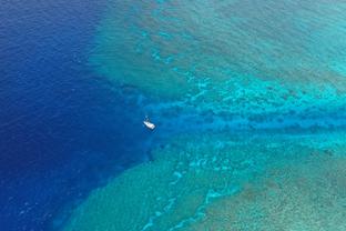 意天空预测米兰本轮意甲首发：特奥继续客串中卫，加比亚替补待命